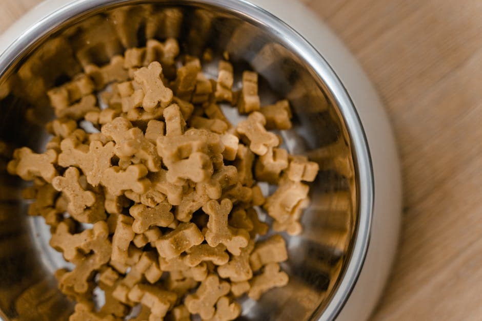Bella's Success Story: How Hypoallergenic Dog Treats Changed Everything