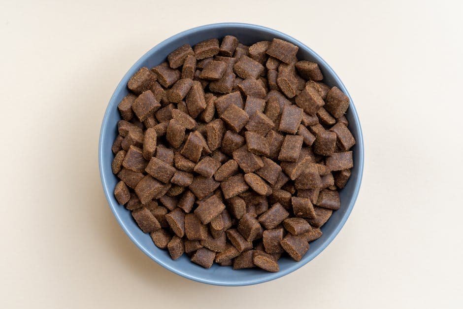 The Science Behind Hypoallergenic Dog Treats Ingredients
