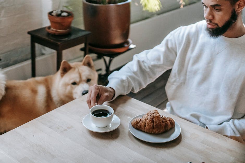 Coconut Flour Training Treats